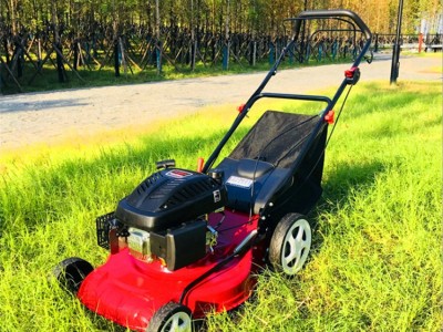 自走式果园草地修剪割草机 四冲程汽油草坪除草机 花圃园林剪草机图3