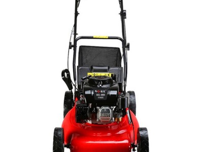 自走式果园草地修剪割草机 四冲程汽油草坪除草机 花圃园林剪草机图5