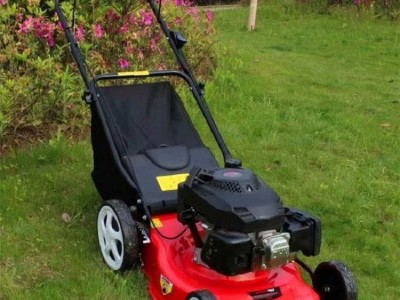 自走式果园草地修剪割草机 四冲程汽油草坪除草机 花圃园林剪草机图2