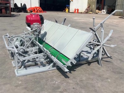 轻巧型4行水稻插秧机水田农用全自动汽油6行种植移栽热销机型图3