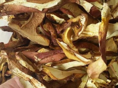 云南红葱牛肝菌干货批发见手青尝鲜伴手礼野生菌煲汤菌菇产地直发图3
