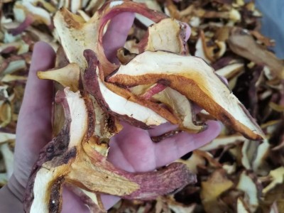 云南红葱牛肝菌干货批发见手青尝鲜伴手礼野生菌煲汤菌菇产地直发图2