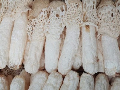 天然红托竹荪干货整箱批发肉厚无肥皂味无硫竹荪煲汤食材酒店供应图3