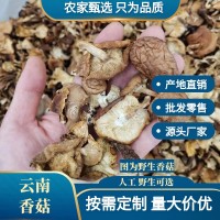 云南野生香菇干货批发包邮天然干香菇高原头茬厚菇量大价优