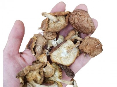 云南野生香菇干货批发包邮天然干香菇高原头茬厚菇量大价优图5