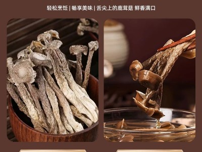 鹿茸菇干货500g云南特产脆脆菇菌包材料营养煲汤佳品50g图4