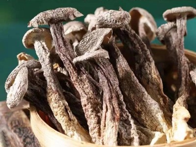 鹿茸菇干货500g云南特产脆脆菇菌包材料营养煲汤佳品50g图3