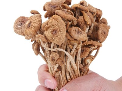 茶树菇干货 农家特优新货香菇干货特产茶新菌菇家用煲汤批发散装图4