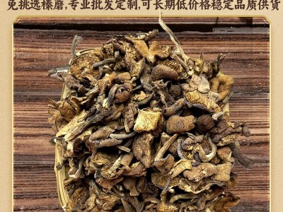 东北特产榛蘑蘑菇干货农产品量大价优厂家批发零售图3