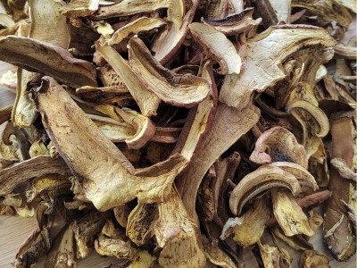 红牛肝菌批发包邮煲汤菌菇人工挑选大片好货原产地直发图3