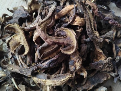 黑牛肝菌批发包邮煲汤菌菇人工挑选大片好货原产地直发图2