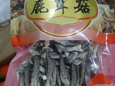 鹿茸菇鹿茸菌秋木脆脆菇瓶摘食用菌酒店专供食材散装批发炖汤松茸图4