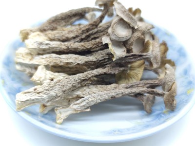 鹿茸菇鹿茸菌秋木脆脆菇瓶摘食用菌酒店专供食材散装批发炖汤松茸图5