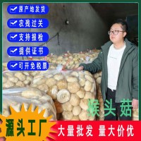 古田猴头菇干货粉猴头菌原料剪根剪脚无硫散装食用菌批发出口级