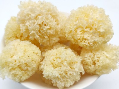 仿椴木小银耳干货秋沐新货糯耳羹出胶雪耳古田干货白木耳银耳批发图2