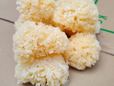 椴木银耳 天然椴木培育无硫熏易出胶 软糯多胶 农家干货 厂家直批图4