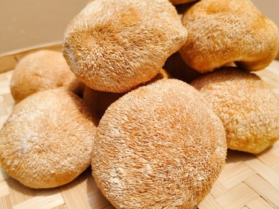 产地直销古田猴头菇500G干特产批发食用菌健脾图3