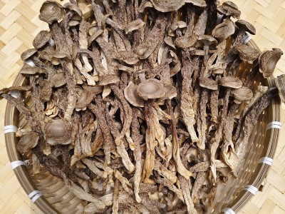 鹿茸菇干货精选袋装煲汤食材家用商用农家特产食用蘑菇鹿茸菌批发图4