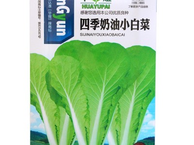 四季奶油小白菜 阳台菜园纤维少叶菜种子 蔬菜种子图5