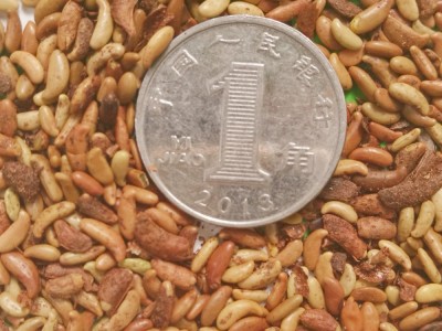 脱壳紫穗槐木豆银合欢沙达旺狗尾草小拧条火炬刺槐胡枝子灌木种子图3