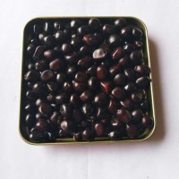 批发榨油牡丹种子优质凤丹籽油料牡丹籽牡丹种子价格油用牡丹种子