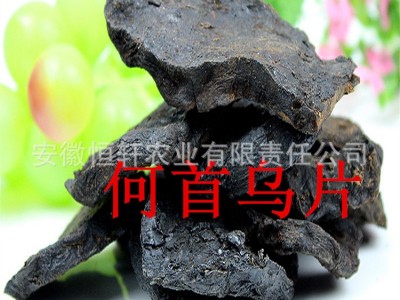 批发药材种苗 何首乌种苗 何首乌秧苗包回收 适应广 易管理图4