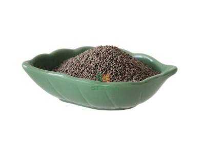 紫叶酥种子新采紫苏园艺草本植物绿叶紫苏红叶芳香类蔬菜花卉种籽图4