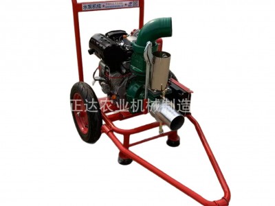 风冷机组 多种规格抽水泵 农用浇灌使用 下水道清淤抽污泵图4