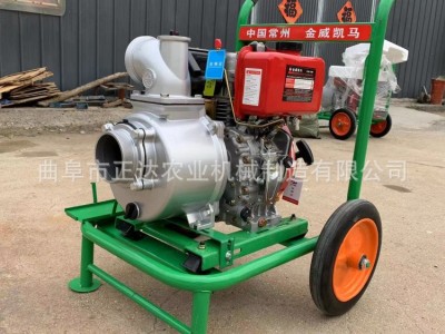 风冷机组 多种规格抽水泵 农用浇灌使用 下水道清淤抽污泵图3