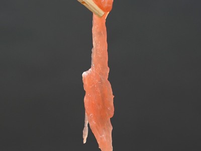 工厂直供猪肉丝冷冻新鲜猪肉半成品饭店配菜小炒瘦肉同款商用鲜嫩图4