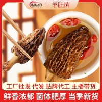 新货头茬羊肚菌云南特产干货批发大个无沙煲汤食材菌菇汤包礼盒
