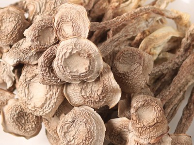 鹿茸菇干货批发云南食用菌菇特产煲汤脆脆菇鹿茸菌源产地直供代发图4