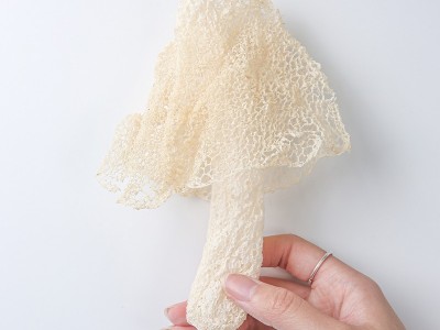 当季新货竹荪干货煲汤食材福建特产竹笙干货长裙竹荪食用菌菇批发图3