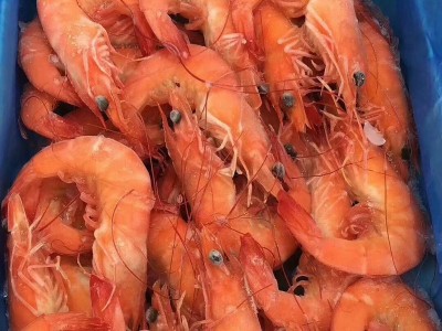 大量供应泰国香虾40-50 水产海鲜产品泰国香虾750g/箱批发图2