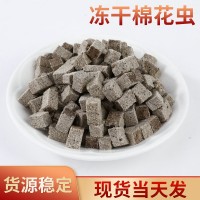 吉泰亿鑫 水蚯蚓龟粮 观赏鱼饲料冻干棉花虫 红丝虫小仓鼠粮零食