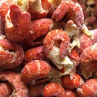 批发商用大号特大号龙虾尾净重无冰衣湖北稻田虾球新鲜地道特产