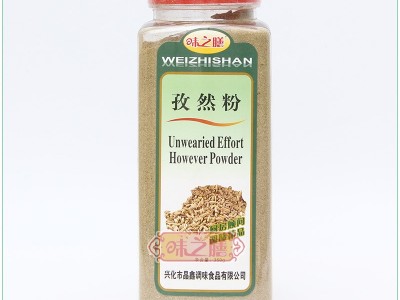 批发瓶装350g孜然调味料散装香料烧烤调料孜然粉牛羊排烤翅撒料图3