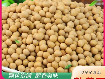 低温烘焙大豆熟五谷杂粮熟黄豆批发现磨磨粉豆浆原料图2