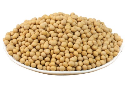 低温烘焙大豆熟五谷杂粮熟黄豆批发现磨磨粉豆浆原料图4