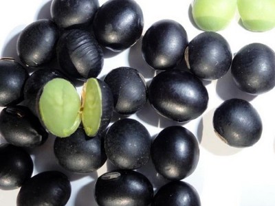低温烘焙熟黑豆五谷杂粮绿心黑豆磨粉豆浆原料靑仁黑豆批发图2