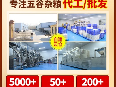 当季新货东北黑豆绿芯生黑豆子绿心黑小豆五谷杂粮豆浆粗粮黑豆图3