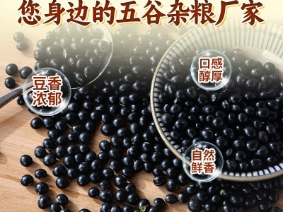 当季新货东北黑豆绿芯生黑豆子绿心黑小豆五谷杂粮豆浆粗粮黑豆图2