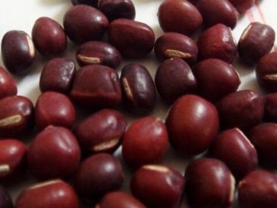 低温烘焙红小豆 熟五谷杂粮 磨粉现磨豆浆原料批发图4