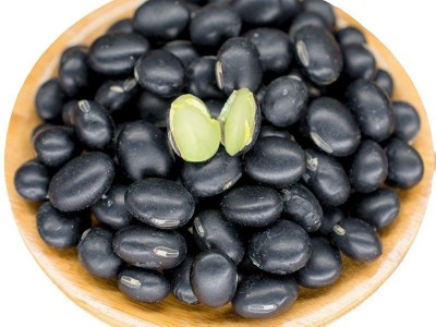 低温烘焙绿心青仁黑豆 熟五谷杂粮 磨粉现磨豆浆原料批发图4