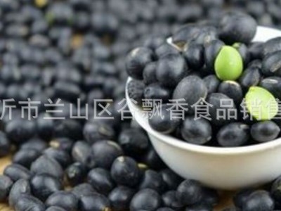 低温烘焙绿心青仁黑豆 熟五谷杂粮 磨粉现磨豆浆原料批发图2