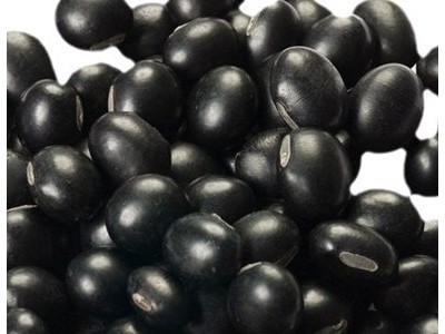 低温烘焙绿心青仁黑豆 熟五谷杂粮 磨粉现磨豆浆原料批发图5