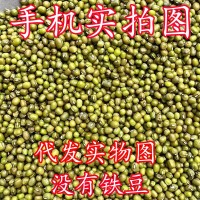 绿豆批发一件代发新货绿豆量大从优糕饼笨绿豆汤粥易熟新鲜绿豆