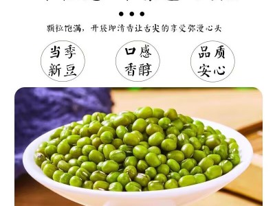 绿豆批发一件代发新货绿豆量大从优糕饼笨绿豆汤粥易熟新鲜绿豆图2