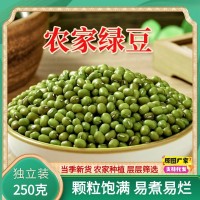 新鲜优质绿豆一件代发新货农家绿豆汤绿豆粥绿豆糕原料