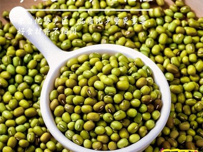 新鲜优质绿豆一件代发新货农家绿豆汤绿豆粥绿豆糕原料图3